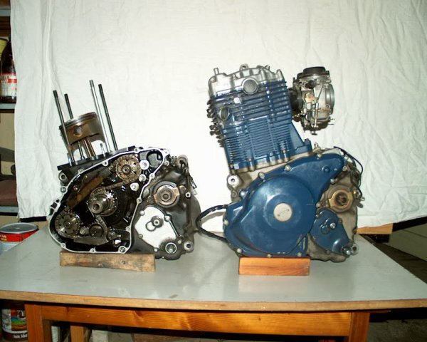 Motory z leva